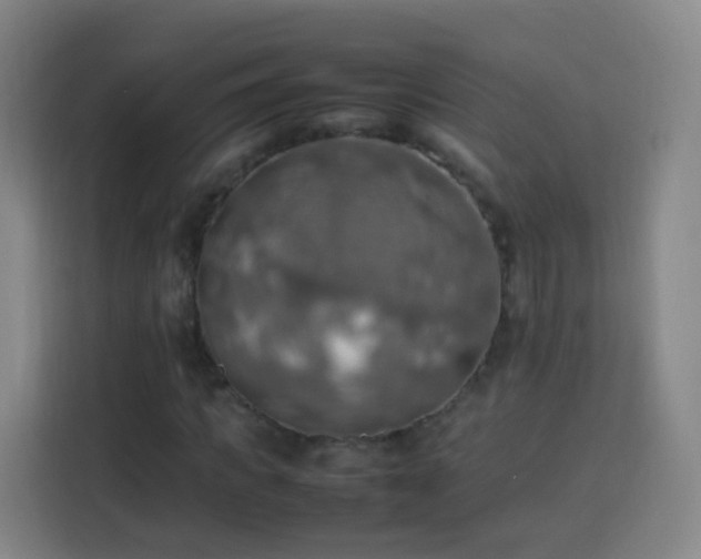 X0000113780917200909301146