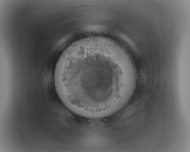 X0000113780918200909301146