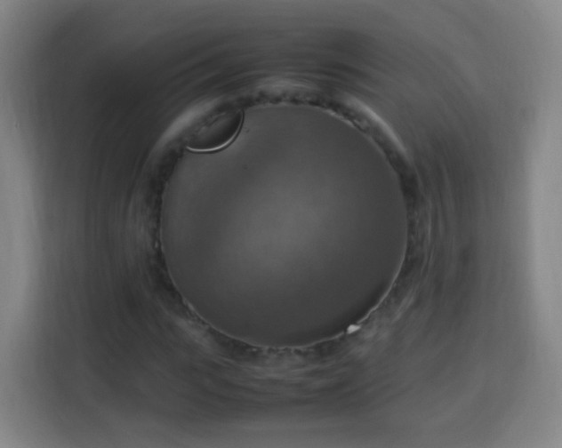 X0000113780919200909301146