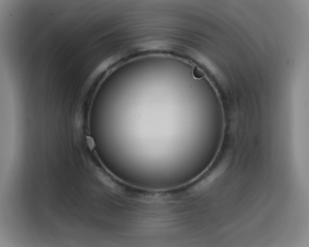 X0000113780922200909301146