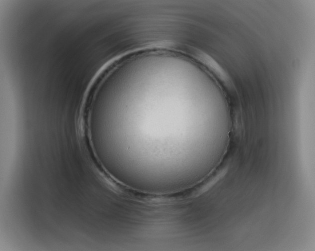 X0000113780924200909301146