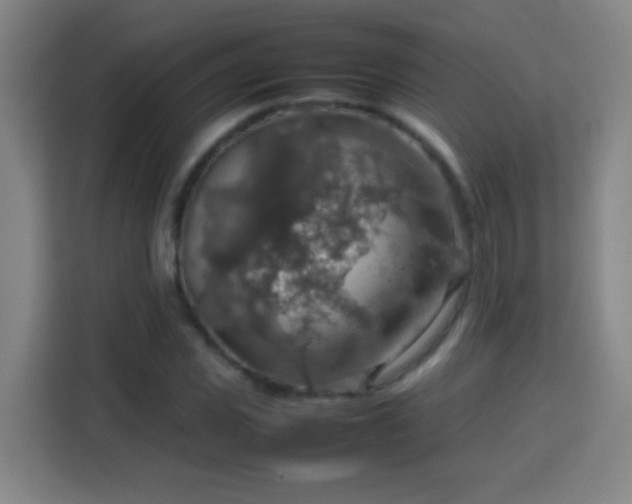 X0000113780925200909301146