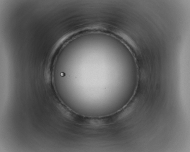X0000113780927200909301146