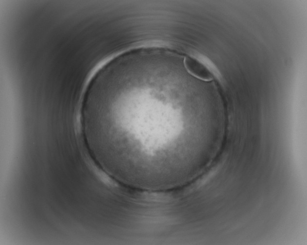 X0000113780928200909301146