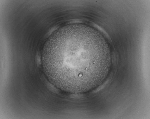 X0000113780929200909301146