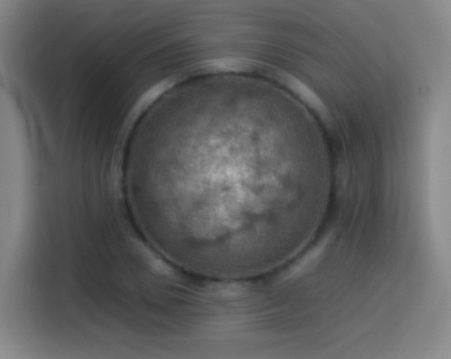 X0000113780930200909301146