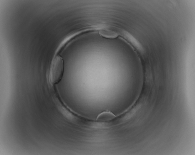 X0000113780932200909301146