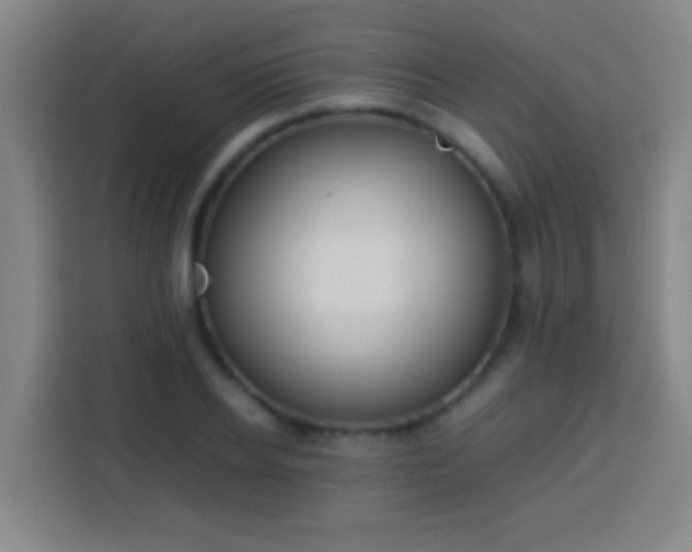 X0000113780934200909301146