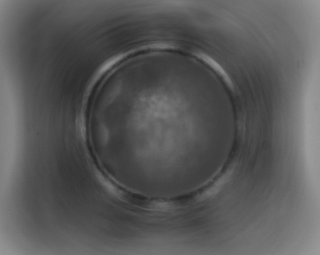 X0000113780935200909301146