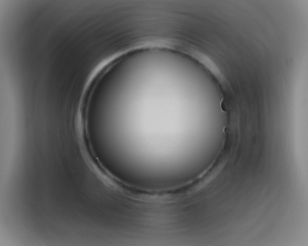 X0000113780936200909301146
