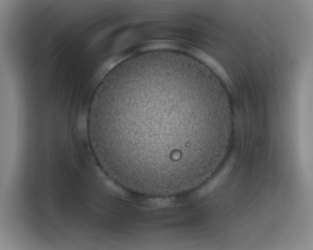 X0000113780937200909301146