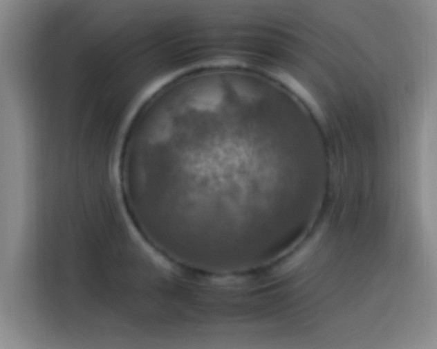 X0000113780943200909301146