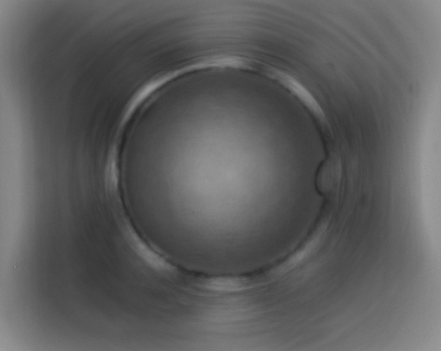 X0000113780944200909301146
