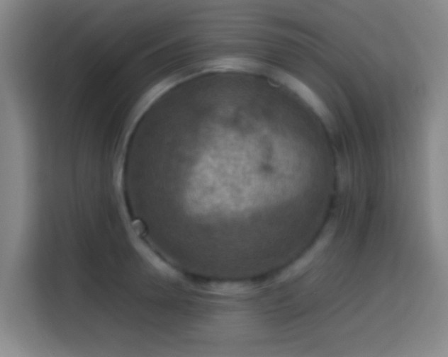 X0000113780946200909301147