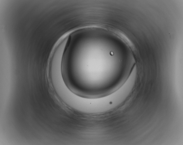 X0000113780948200909301147