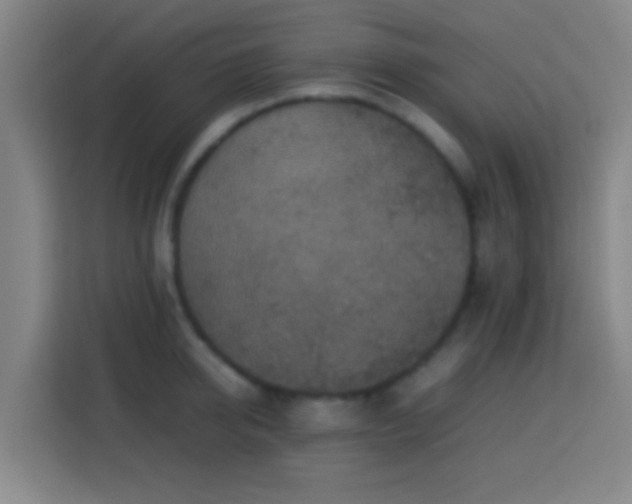 X0000113780950200909301147