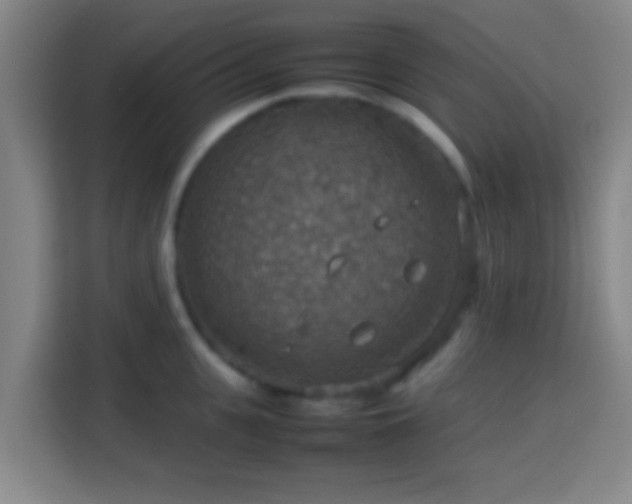 X0000113780951200909301147