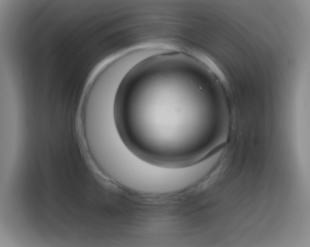 X0000113780952200909301147