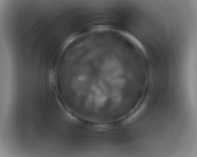 X0000113780953200909301147
