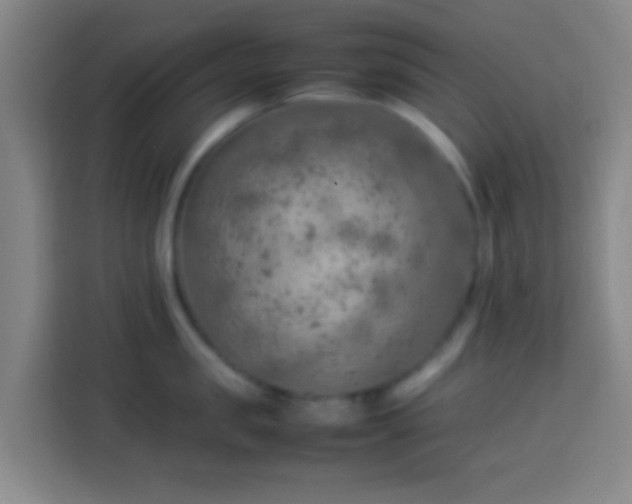 X0000113780957200909301147