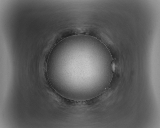 X0000113780961200909301146