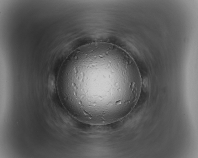 X0000113780963200909301146