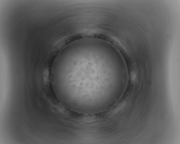 X0000113780964200909301146