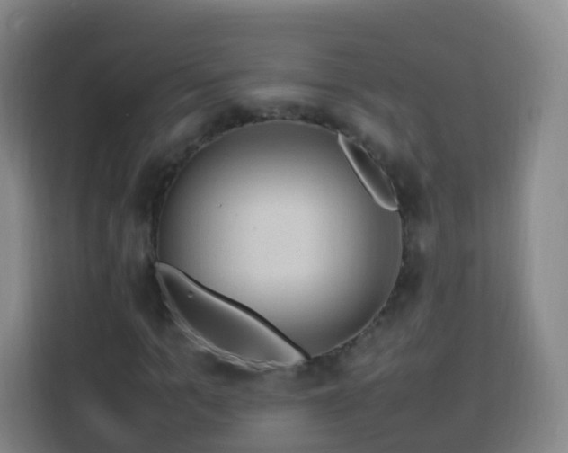 X0000113780965200909301146