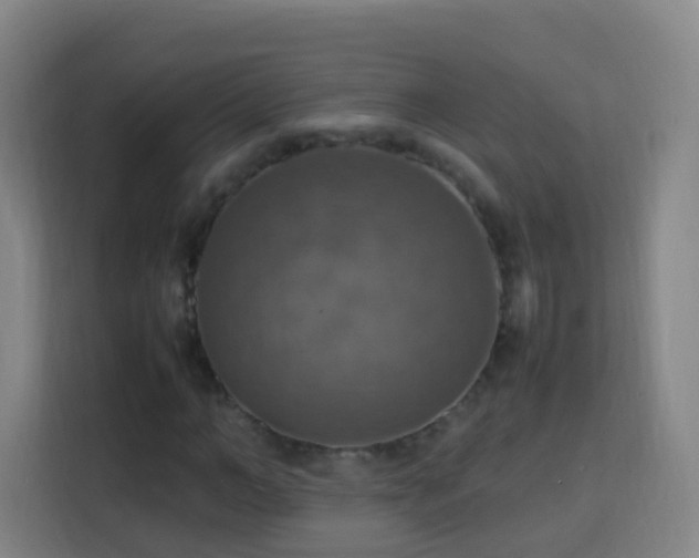 X0000113780966200909301146