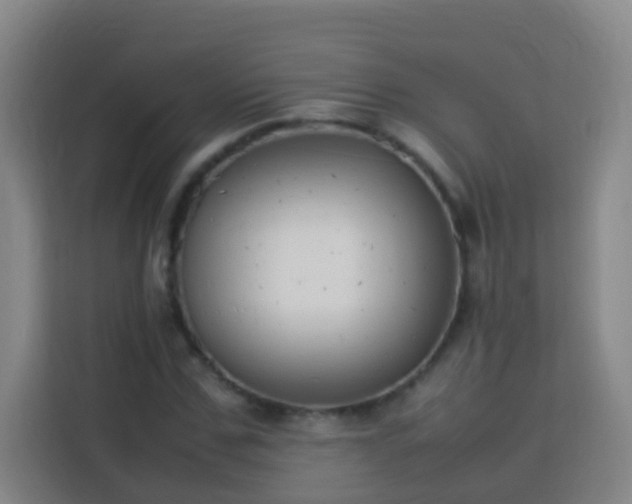 X0000113780971200909301146