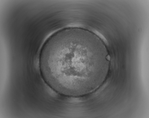 X0000113780976200909301146