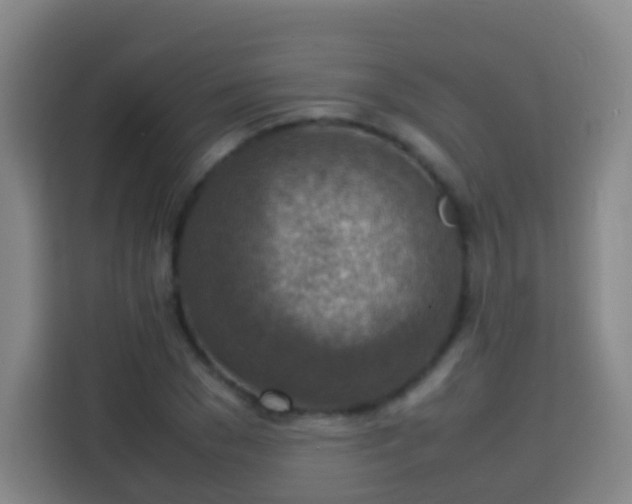 X0000113780977200909301146