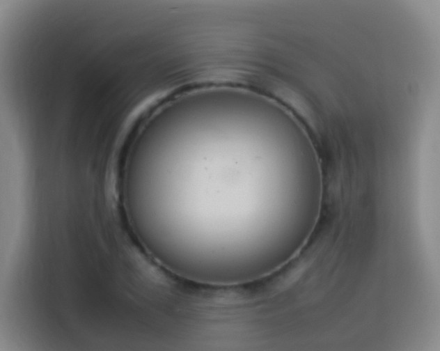 X0000113780979200909301146