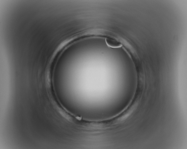 X0000113780981200909301146