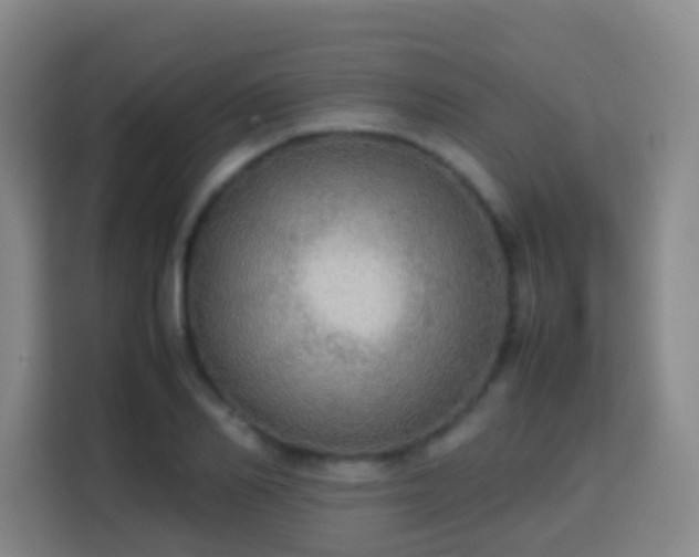 X0000113780982200909301146