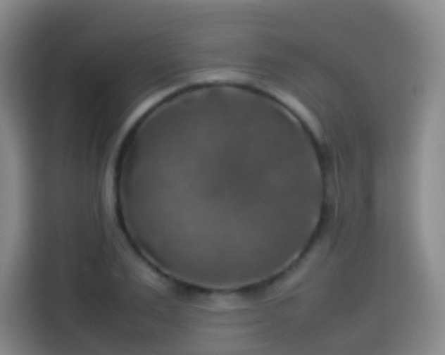 X0000113780983200909301146