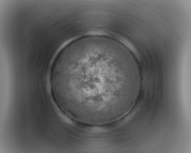 X0000113780984200909301146