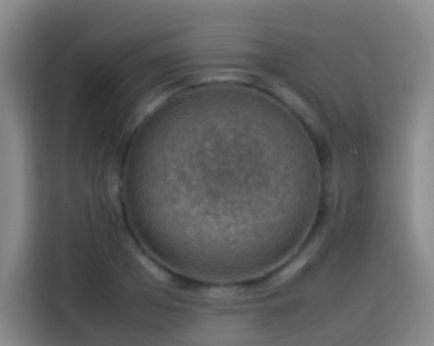 X0000113780985200909301146