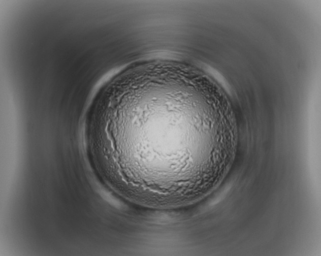 X0000113780987200909301146