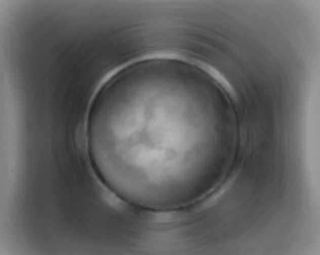 X0000113780988200909301146