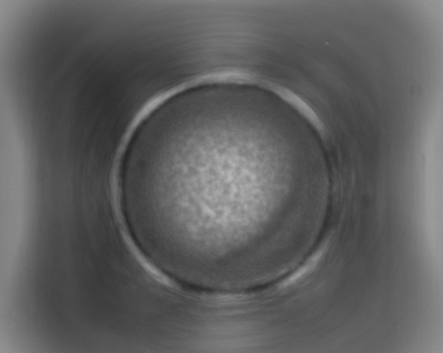 X0000113780989200909301146