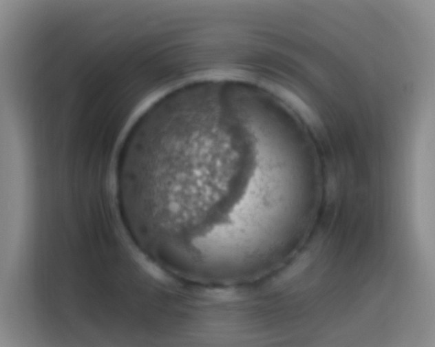 X0000113780990200909301146