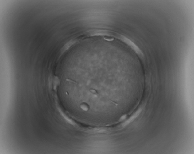 X0000113780993200909301146