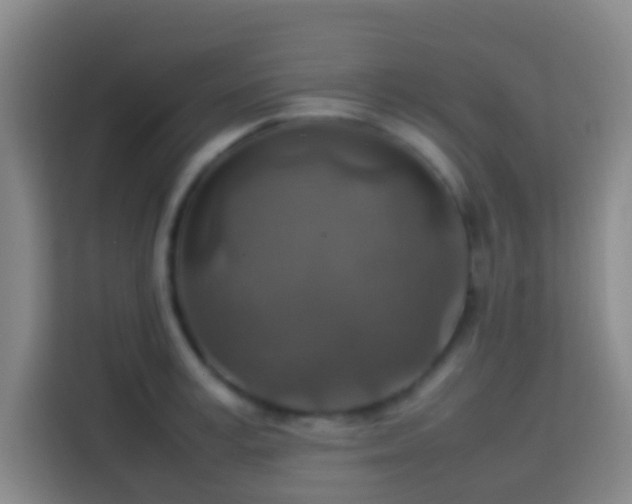 X0000113780995200909301146