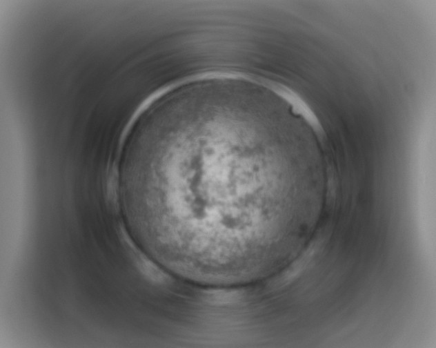 X0000113780996200909301146