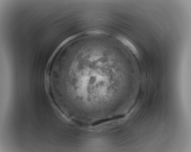 X0000113781000200909301146