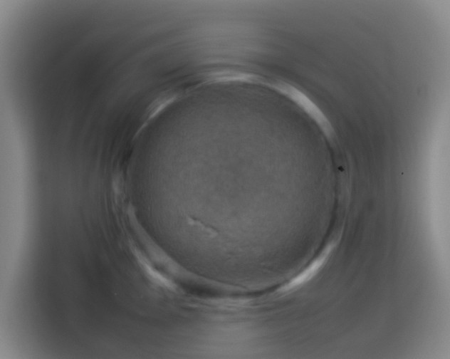 X0000113781001200909301146