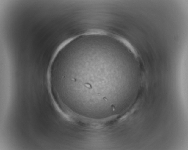 X0000113781003200909301146