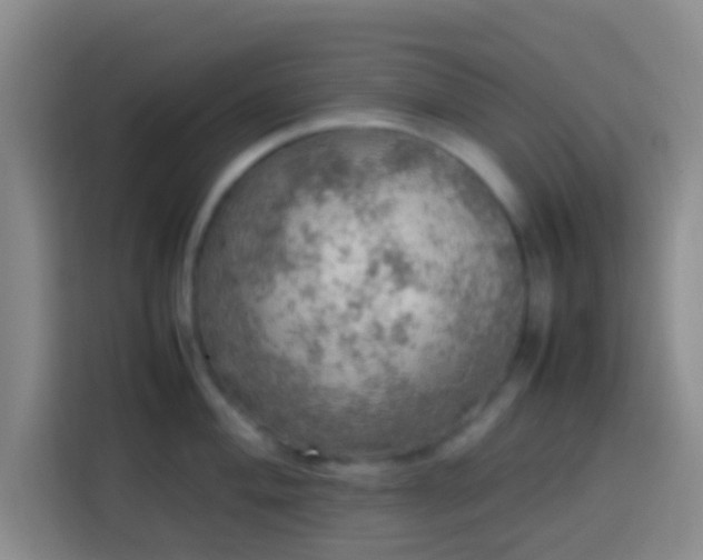X0000113781004200909301146