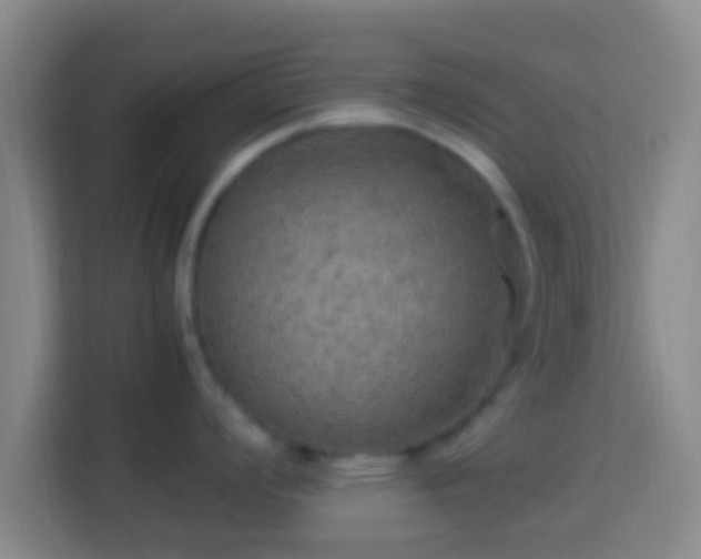 X0000113781008200909301145